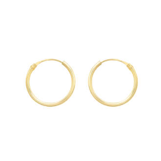 9ct Gold Sleeper Earrings